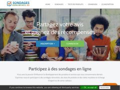 Sondages Rémunérés (Rewarded Surveys)